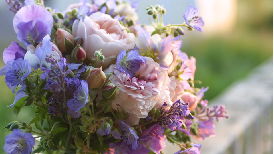 Soul mates, but you can have a few