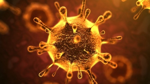 Coronavirus: Did you know about these predictions?