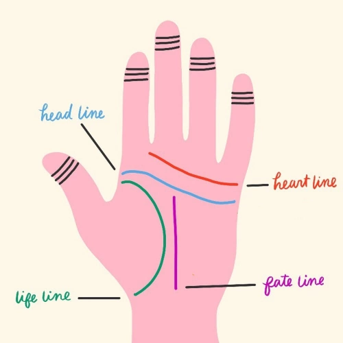 Palmistry Basics - What do lines in our hand say?