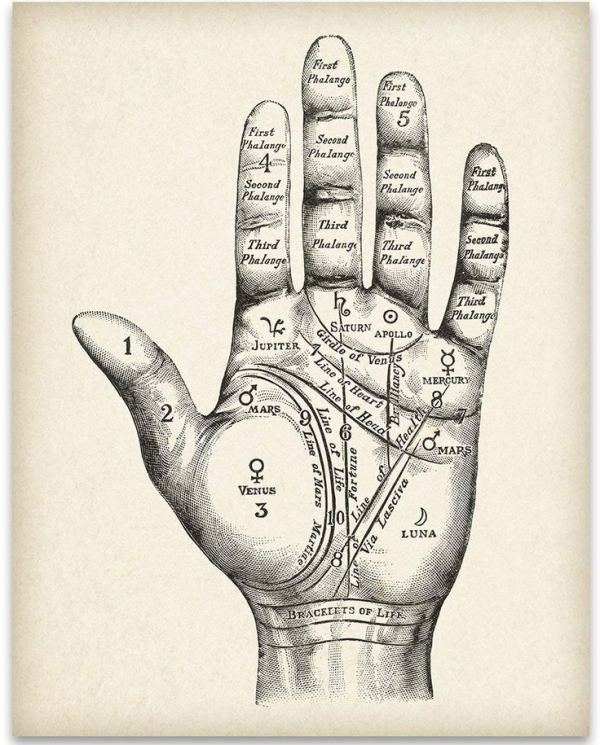 palm reading, palm, astrology