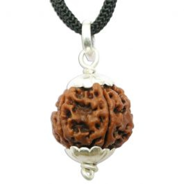 5 mukhi rudraksha, panch mukhi rudraksh, 5 mukhi rudraksh benefits, five face rudraksh, mantra for panch mukhi rudraksh, importance of 5 mukhi rudraksh,how to wear 5 mukhi rudraksh, 5 mukhi rudraksh puja, precautions of 5 mukhi rudraksh