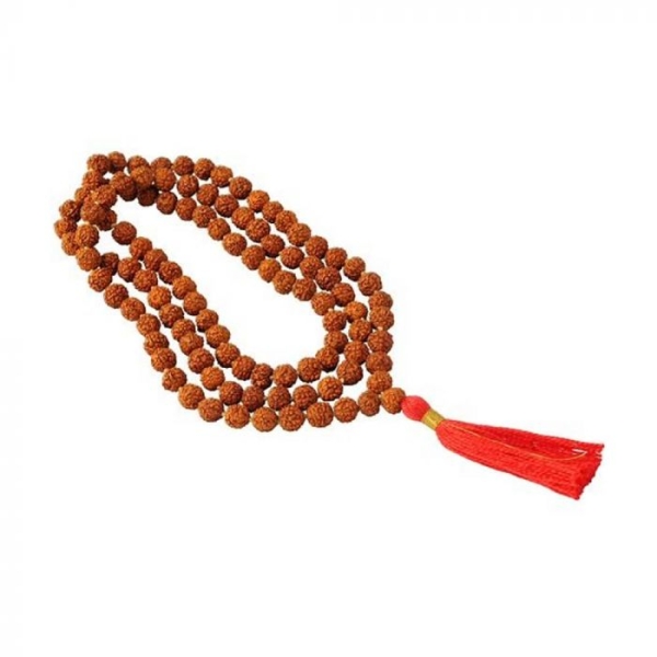 5 mukhi rudraksha, panch mukhi rudraksh, 5 mukhi rudraksh benefits, five face rudraksh, mantra for panch mukhi rudraksh, importance of 5 mukhi rudraksh,how to wear 5 mukhi rudraksh, 5 mukhi rudraksh puja, precautions of 5 mukhi rudraksh