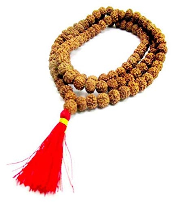 6 mukhi rudraksha, chhe mukhi rudraksha, six mukhi rudraksha, 6 face rudraksha, six face rudraksha, benefits of 6 mukhi rudraksha, how to wear 6 mukhi rudraksha, effects of 6 mukhi rudraksha