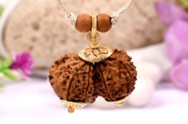 gauri shankar rudraksha, gauri shankar rudraksha benefits, mantra for gauri shanakar rudraksha, importance of gauri shankar rudraksha, how to wear gauri shankar rudraksha, things to remember while wearing gauri shankar rudraksha