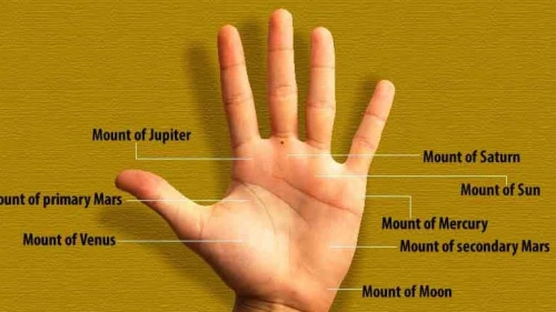 Mole on right hand: Know which mole on your hand is auspicious