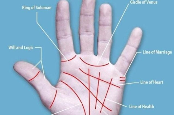 lucky moles on male body, mole on left hand palm meaning, mole on back of finger meaning, mole on back of hand meaning, Mole on right hand