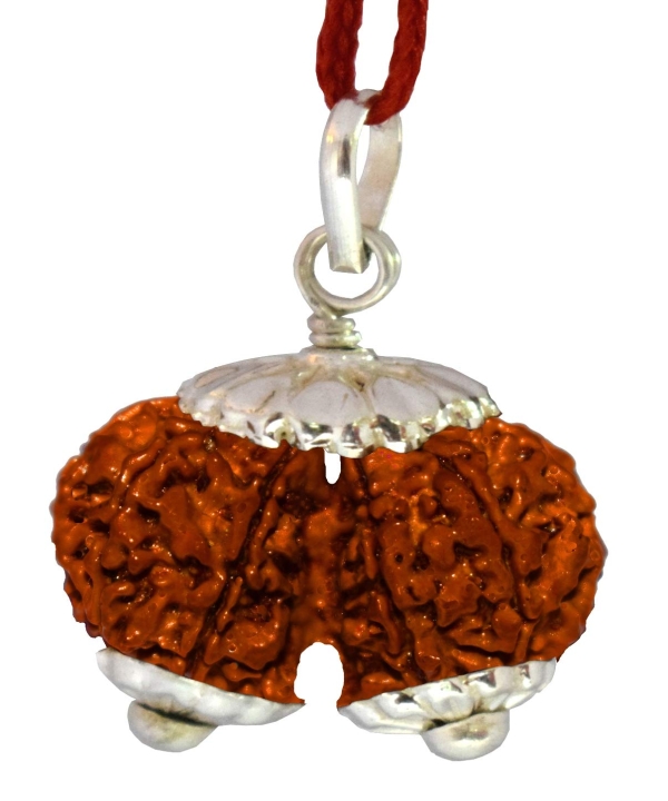 gauri shankar rudraksha, gauri shankar rudraksha benefits, mantra for gauri shanakar rudraksha, importance of gauri shankar rudraksha, how to wear gauri shankar rudraksha, things to remember while wearing gauri shankar rudraksha