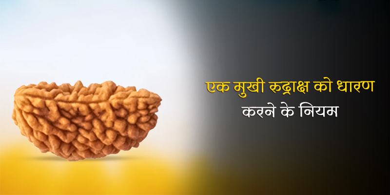 ek mukhi rudraksha