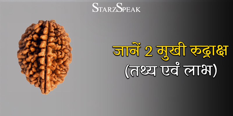 2 mukhi rudraksha