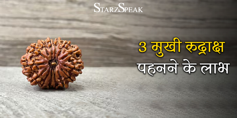 3 mukhi rudraksha